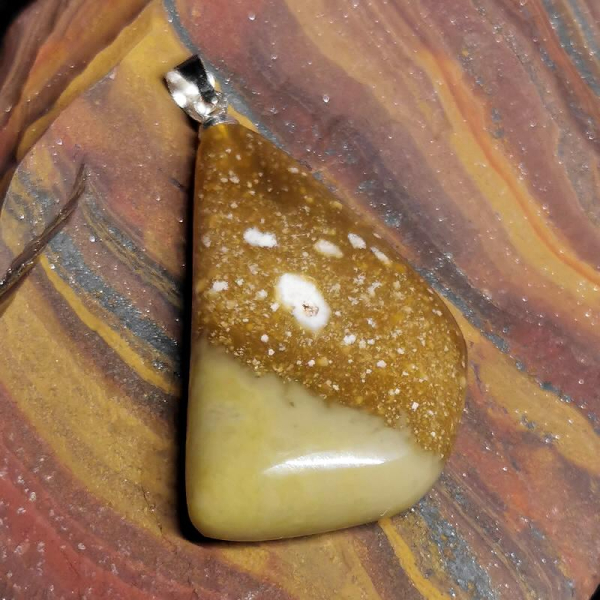 Opalized Petwood Anhänger